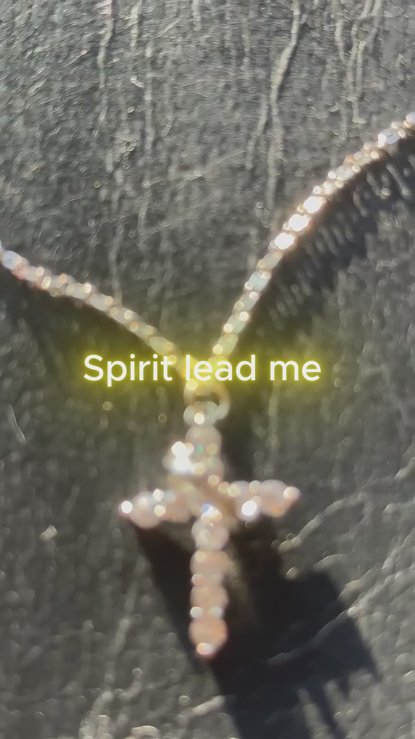 Crown of Christ